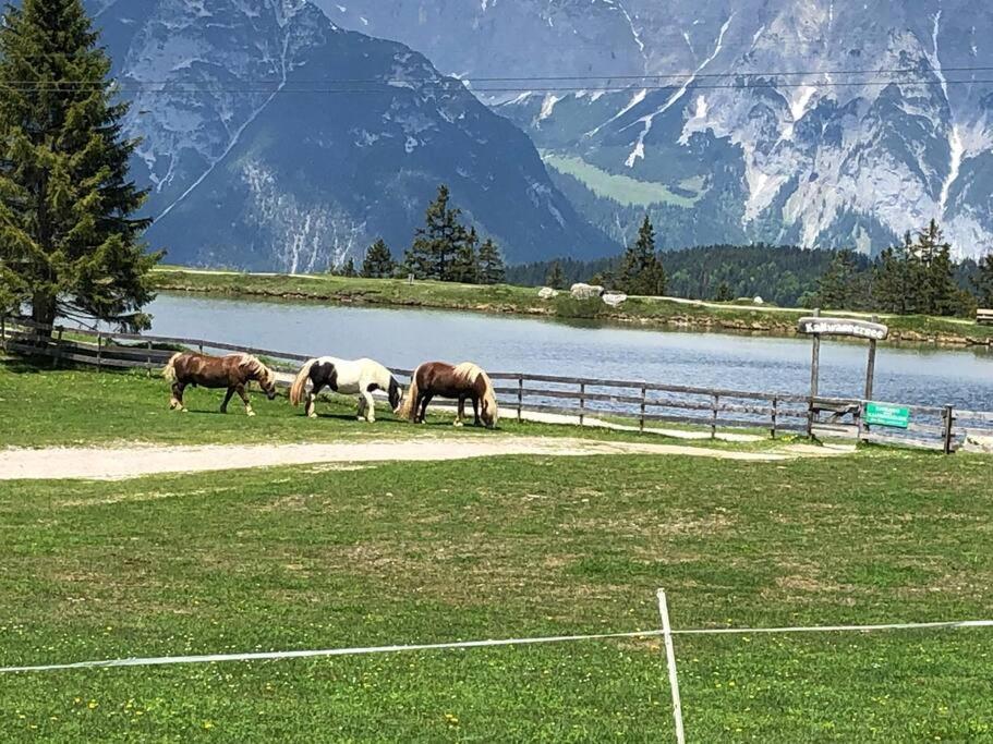Sonniges Apartment In Seefeld Seefeld w Tirolu Zewnętrze zdjęcie